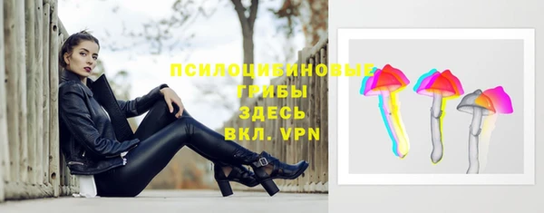 ПСИЛОЦИБИНОВЫЕ ГРИБЫ Бугульма