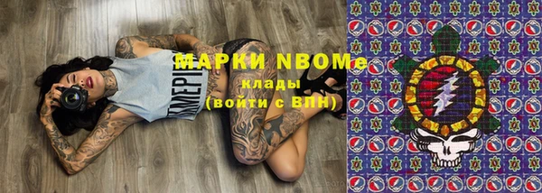 гашик Верея