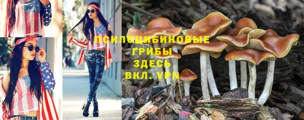 MDMA Premium VHQ Бородино